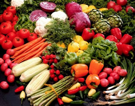 Os 15 Alimentos Que São Fontes De Vitaminas E Minerais Dicas De Saúde
