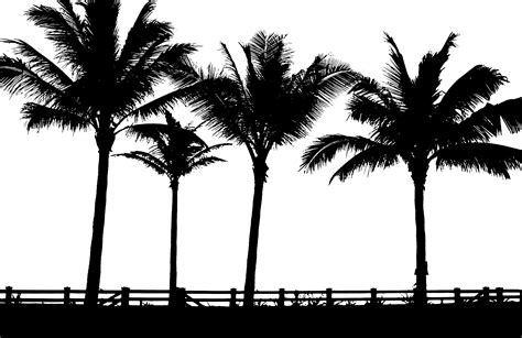 Skyline clipart palm tree, Skyline palm tree Transparent ...