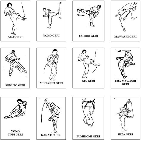 Judo Move Names Easy Learn Self Defense