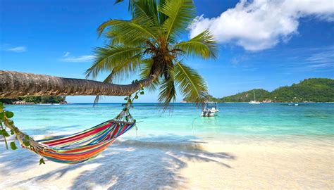 Man on the beach background with hammock hat radio and palms. Hammock Attached to Palm Tree on Tropical Beach HD ...