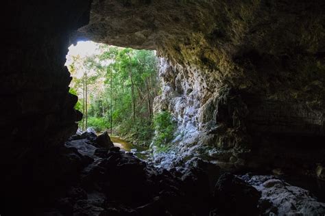 Forest Cave Pictures Download Free Images On Unsplash