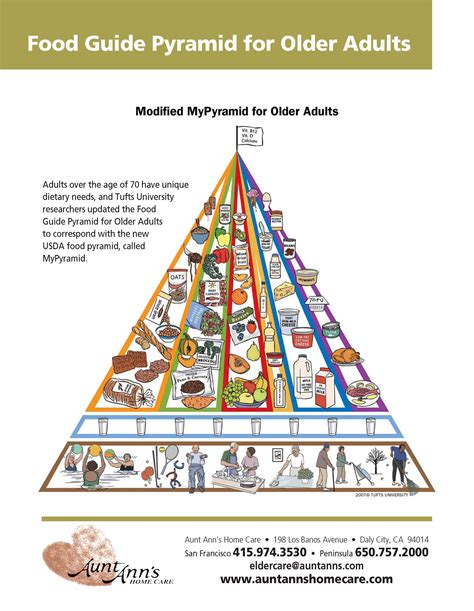 Food Guide Pyramid For Older Adults Seniors Foodpyramid Seniornutrition