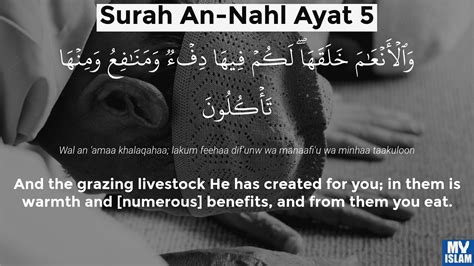 Surah An Nahl Ayat 5 165 Quran With Tafsir My Islam