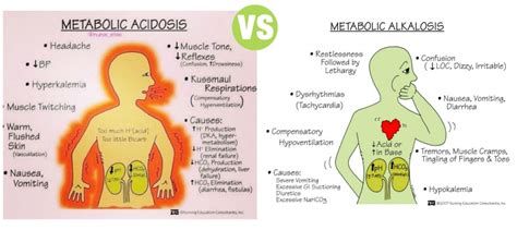 Metabolic Acidosis Alkalosis Chart