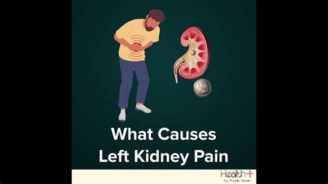 What Causes Left Kidney Pain Youtube