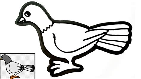 Cara Menggambar Burung Merpati Dengan Mudah How To Draw A Pigeon Easy