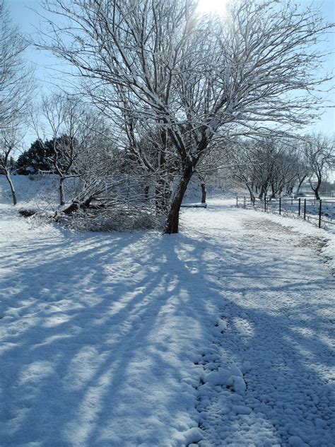 Snow Scene Free Stock Photo Public Domain Pictures