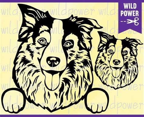 Cute Border Collie Svg Peeking Dog Svg File For Cricutborder Etsy