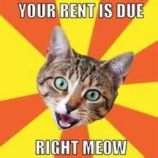 Rents Due Memes Ideas Memes Rent Right Meow
