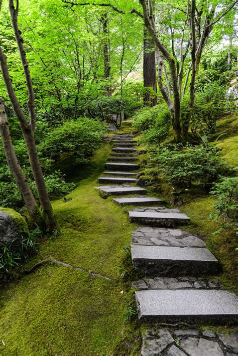 Stone Path Through Forest School Of Inner Health