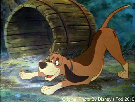 The Fox And The Hound Photo Copper The Fox And The Hound Disney