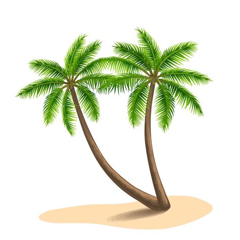 Premium Vector Palm Trees Illustration