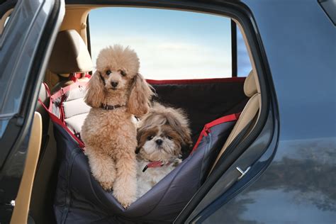 Beste Autostoel Hond 2023 Onze Top 10 Autostoelen Voor Honden