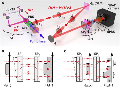 A Quantum Enhanced Wide Field Phase Imager Science Advances