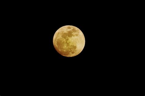 Pleine Lune Isolée Sur Fond Noir Photo Premium