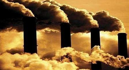 All living organisms are built of carbon compounds. Petition · Stop Burning Fossil Fuels · Change.org