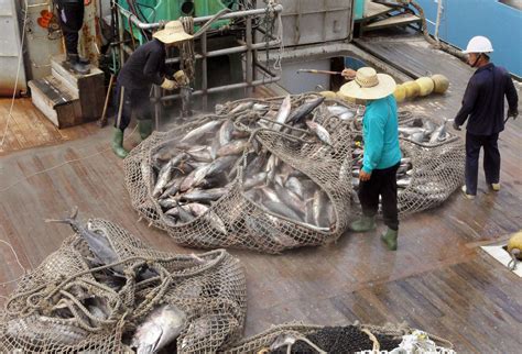 Signage of saudi aramco's initial public offering (ipo) is seen during a news conference by the state oil company at the plaza conference center in dhahran, saudi arabia november 3, 2019. Botched IPO by Chinese Tuna Company Has Fishy Outcome ...