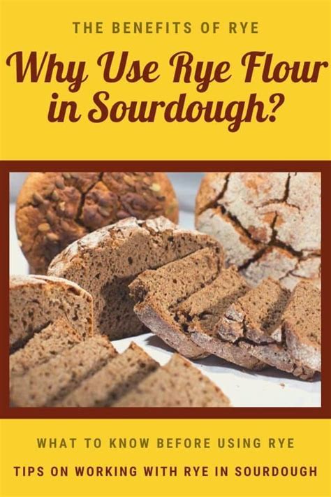 Reasons Rye Is Popular In Sourdough What To Know Before Using It Hot Sex Picture
