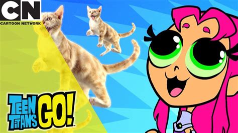 Teen Titans Go Bunch Of Animals Cartoon Network Uk 🇬🇧 Youtube
