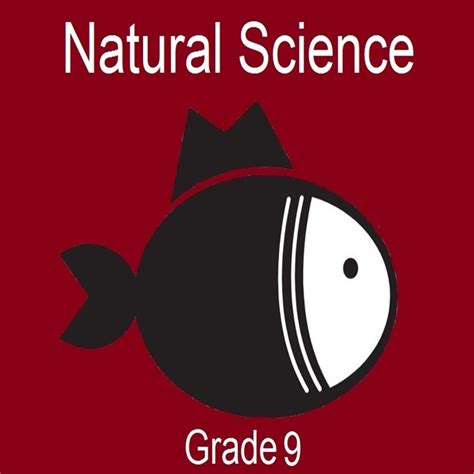 2020 Natural Sciences Gr 9 Term 3 Project Teacha