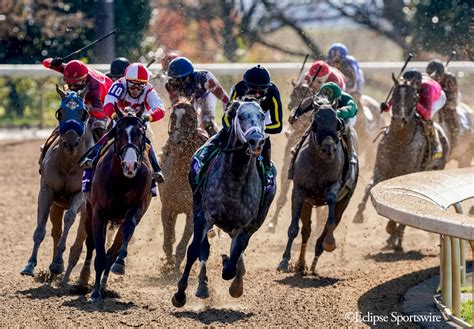 Pacers ticket prices on the secondary market can vary depending on a number of factors. Knicks Go breaks record in Breeders' Cup Dirt Mile-G1 ...