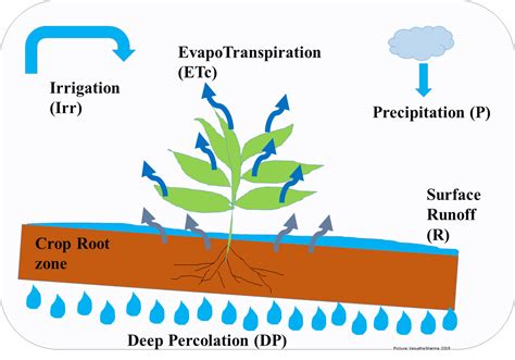 Soil Water Diagram