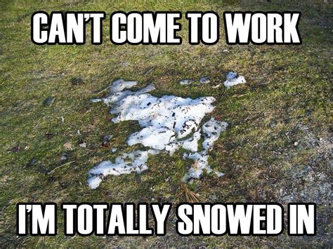 Biggest Annoyance Funny Snow Pictures Funny Weather