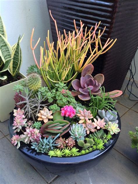 40 Amazing Succulents Garden Decor Ideas Page 39 Of 44 Lovein Home