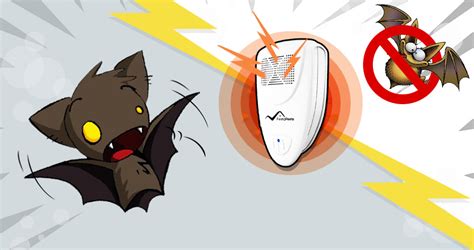 They may not cause a lot of trouble but they can damage your home! How to Get Rid of Bats in the Attic in Less Than 72 Hours