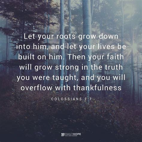 A Forest With Trees And The Words Let Your Roots Grow Down Into Him