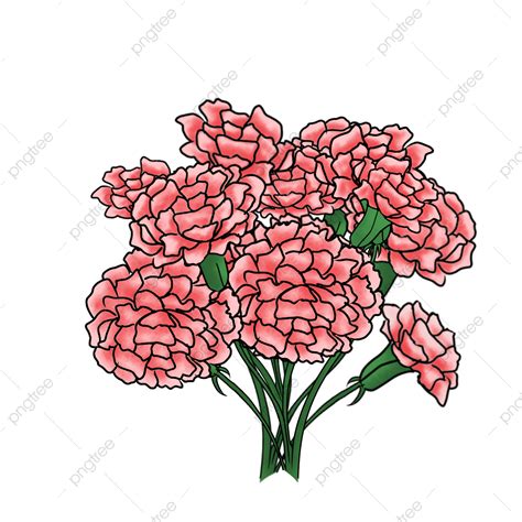 Pink Carnation Bouquet Handdrawn Pink Carnation Bouquet Png
