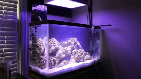 How To Perform A Water Change For A Saltwater Aquarium Youtube