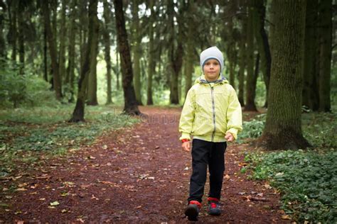 Child Lost In Forest Little Boy Walks In Green Forest Hiking