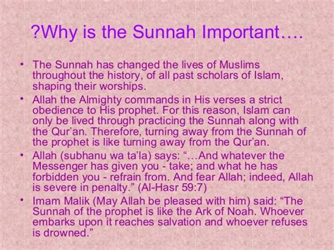 Importance Of The Sunnah