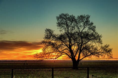 Cimarron Ranch Sunset Photograph By Edie Ann Mendenhall Fine Art America