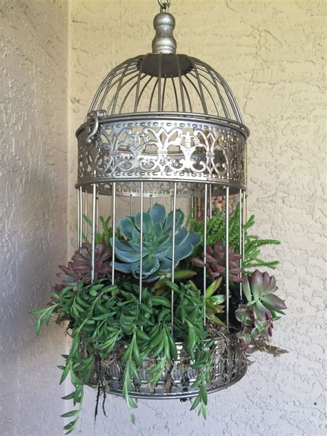 153 Best Images About Bird Cages In The Garden On