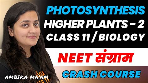 Photosynthesis In Higher Plants Class 11 PART 2 NEET 2023