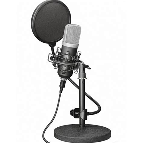 Microfono Trust Profesional Estudio Usb Emita Gxt 252 Brazo Brandimia