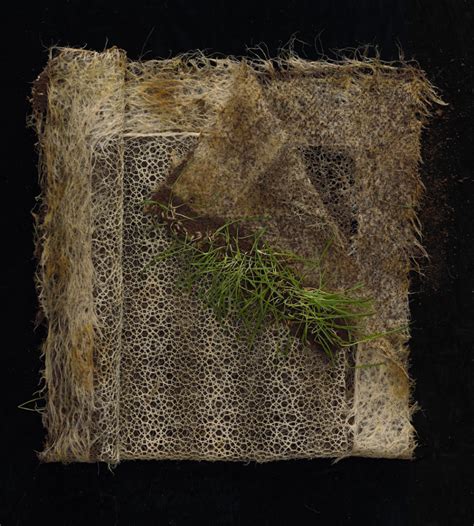 Domesticated Root Systems By Diana Scherer Form Twisting And Repetitive Patterns In Patches Of