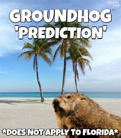 Happy Groundhog Day In Florida Taste And See Tampa Bay Facebook