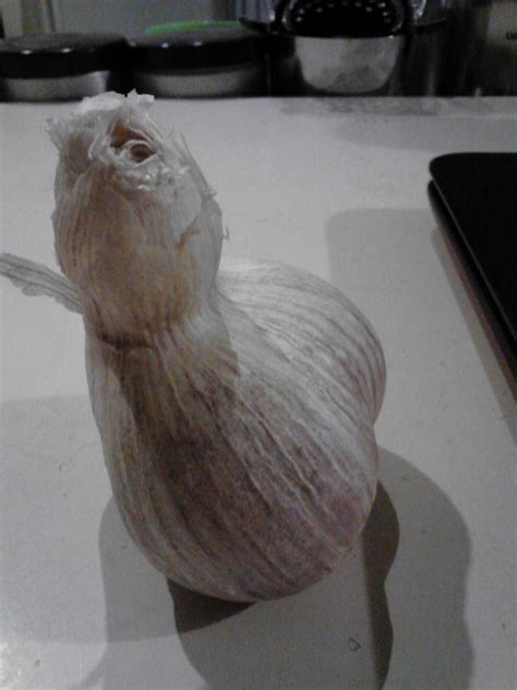 The post date is the day, month, and year when a card issuer posts a transaction and adds it to the cardholder's account balance. My garlic kind of looks like an uncircumcised chode. : pics