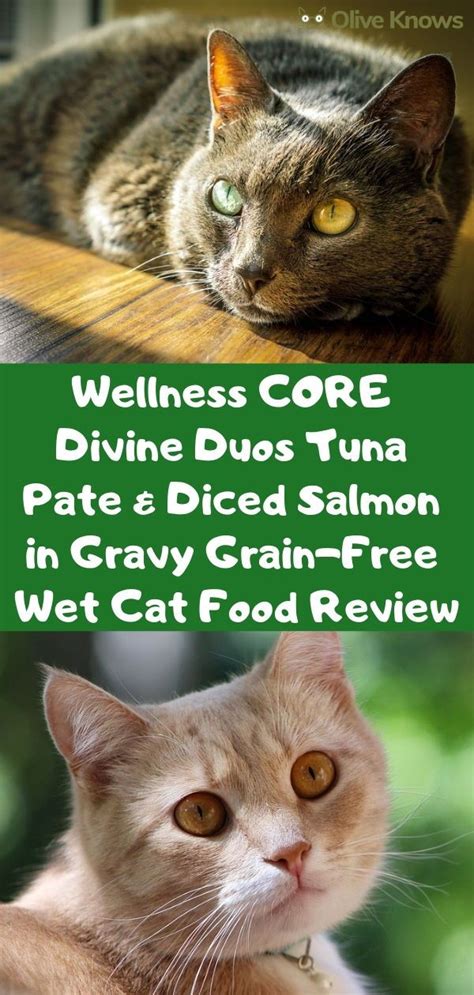 Tuna seems to be the favorite while chicken. Wellness CORE Divine Duos Tuna Pate & Diced Salmon in ...