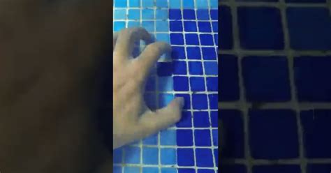 Why Perfectionists Shouldnt Dive In Swimming Pools Webfail Fail