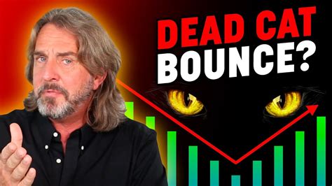 📈 Dead Cat Bouncing Stocks Snaps 3 Day Losing Streak Youtube