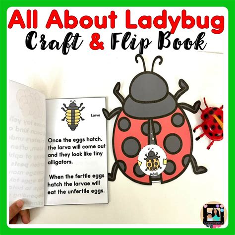 All About Ladybug Life Cycle Craft And Flip Book Made By Teachers
