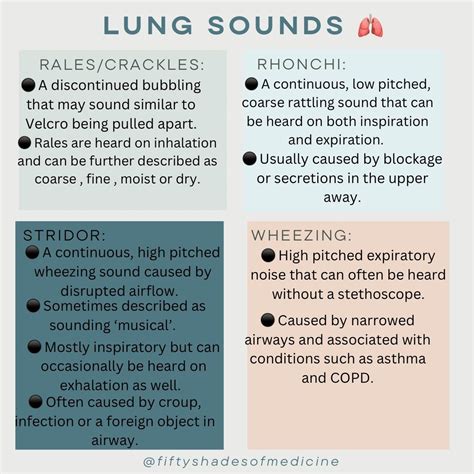 Lung Sounds In 2022 Lung Sounds Lunges Low Pitch