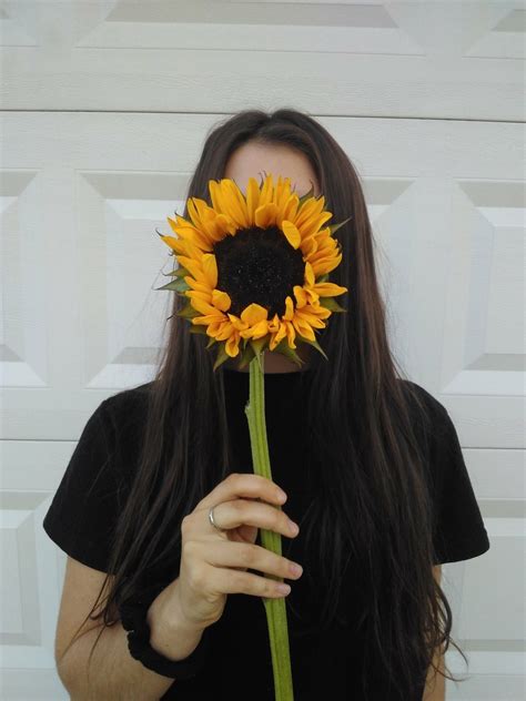 Sunflower Sunflower Hello