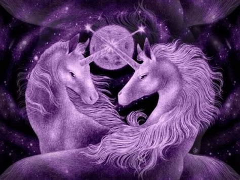 Two Unicorns Unicorn Love Myspace Layouts 20 Profiles 20 And