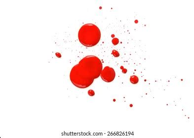 Blood Stains Puddle Isolated On White Stock Photo Shutterstock