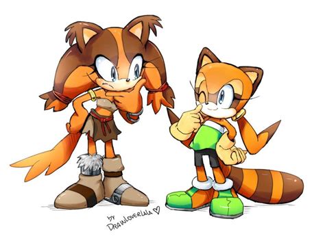 sticks the badger and marine the raccoon sonic heroes sonic the hedgehog hedgehog art